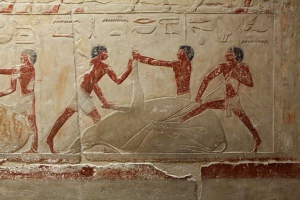 Pharaoh’s Path: Day Trip to Giza and Saqqara 2